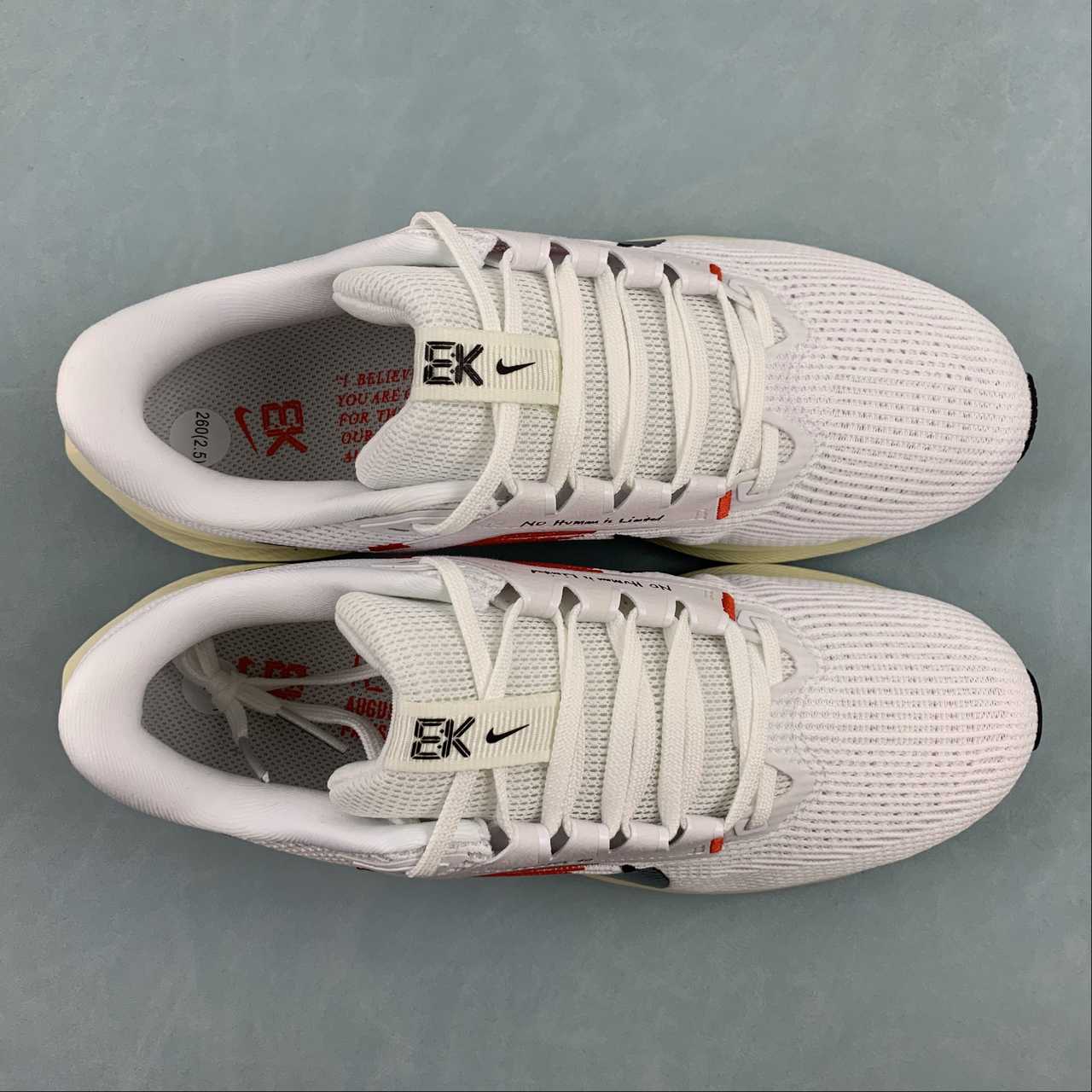 Nike Air Zoom Pegasus 40