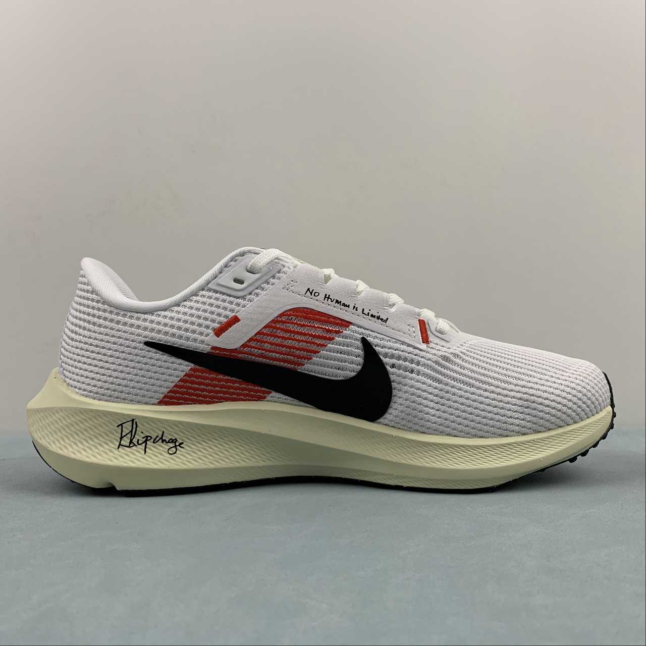 Nike Air Zoom Pegasus 40