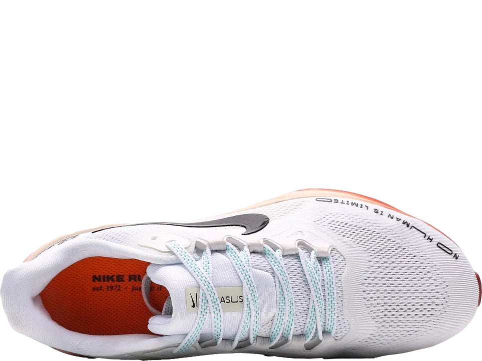 Tênis Wmns Air Zoom Pegasus 41 'Black White' FD2723-002