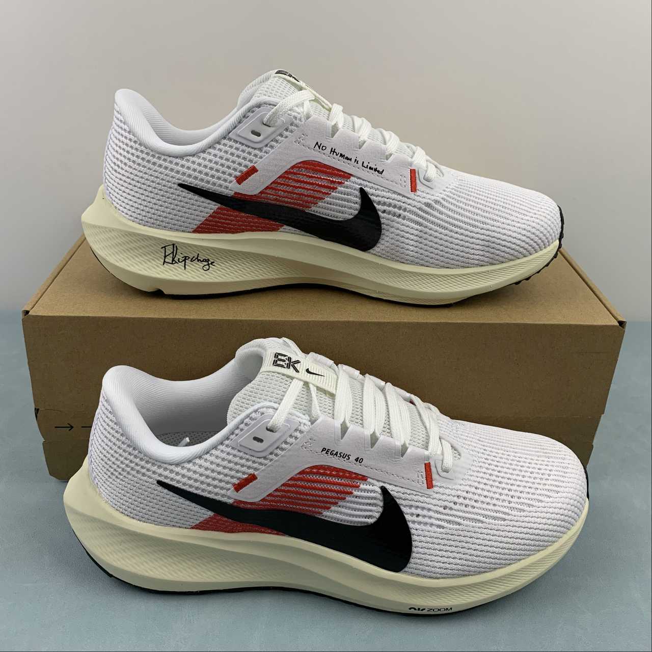 Nike Air Zoom Pegasus 40
